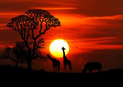 African Sky